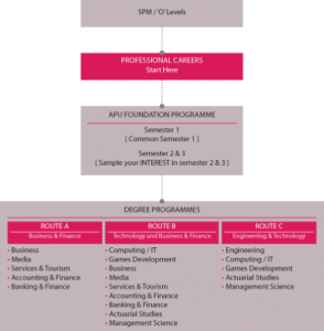 APU Foundation  Programme chart